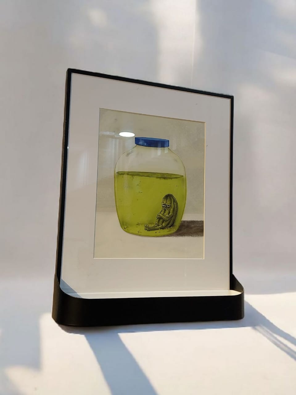 Pickle Paradox - Frame
