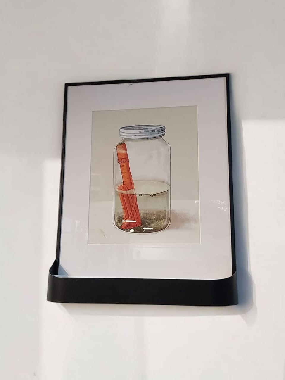 Pickle Paradox - Frame