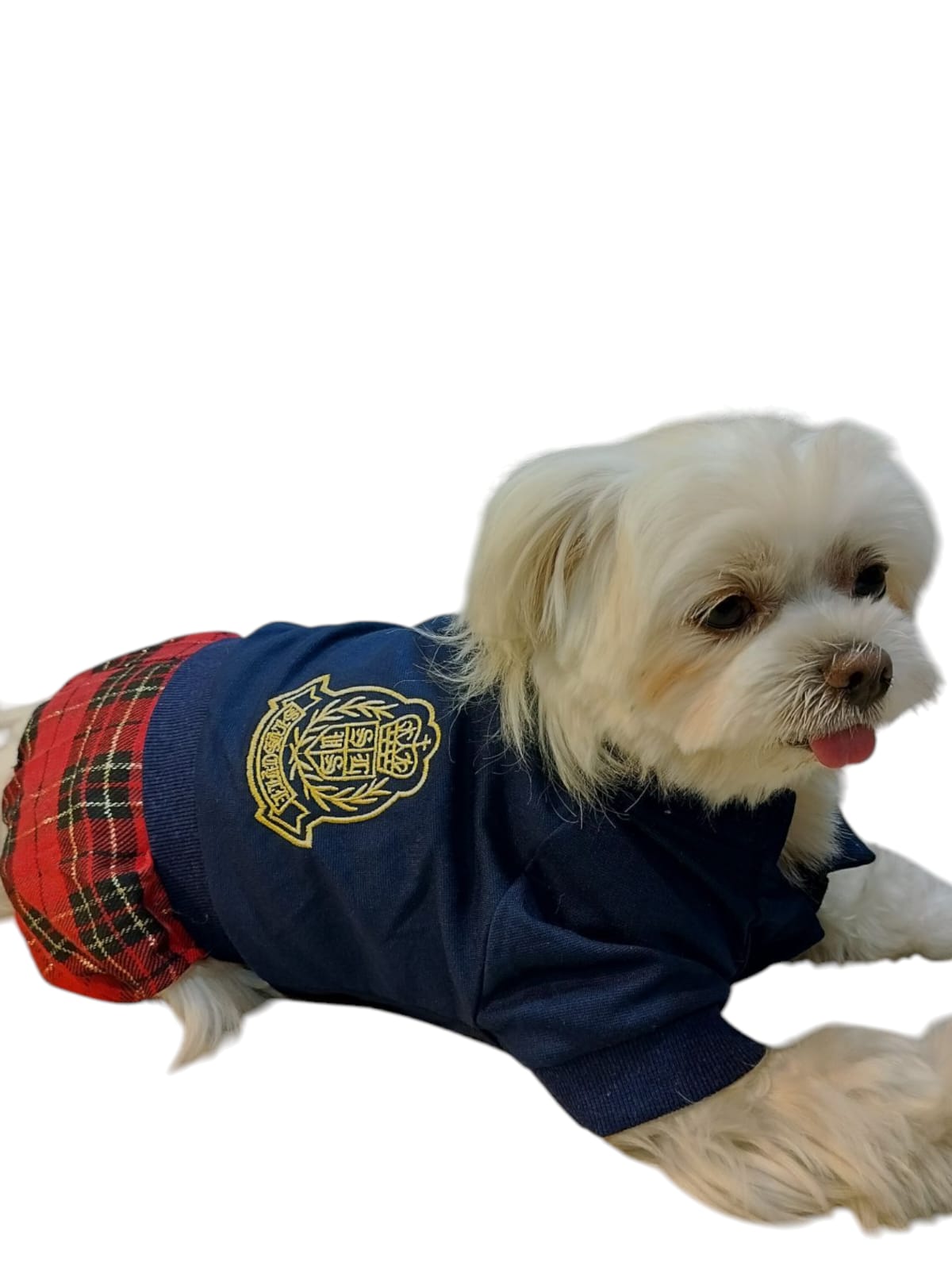 Harry Potter Doggo Dress