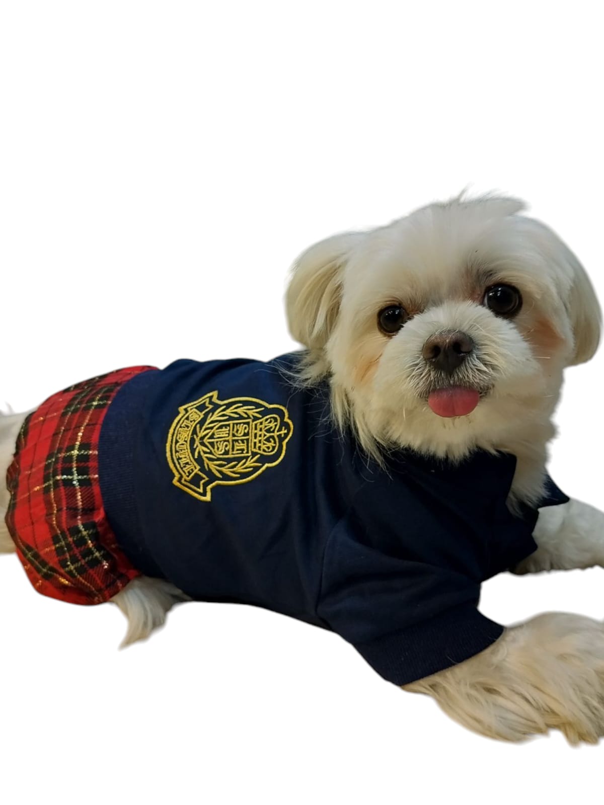 Harry Potter Doggo Dress