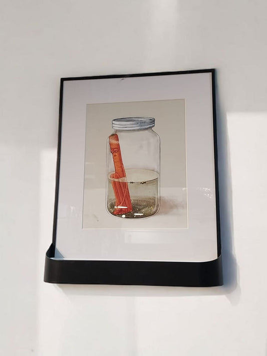 Pickle Paradox - Frame
