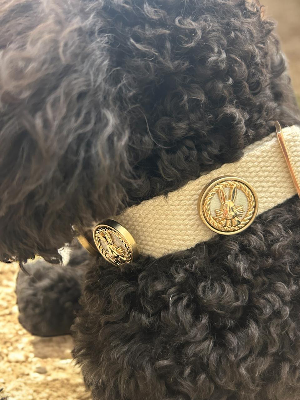 Bunny Bay Organic Dog Collar