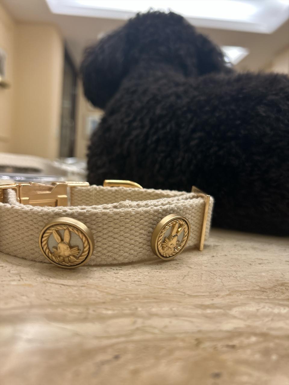 Bunny Bay Organic Dog Collar