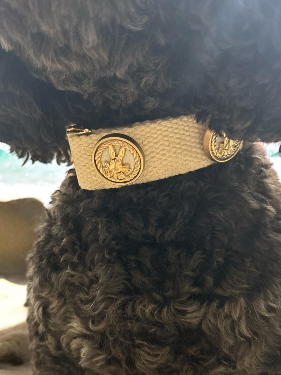 Bunny Bay Organic Dog Collar